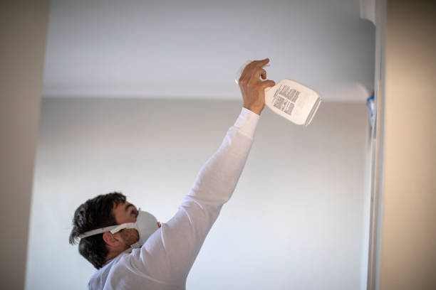Best Mold Damage Repair  in Norlina, NC