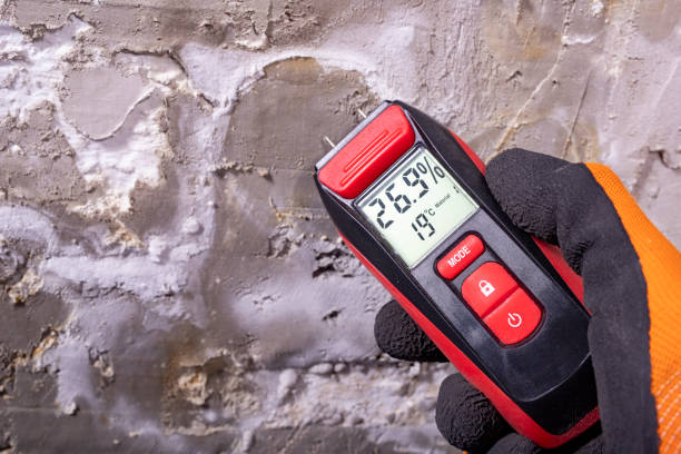 Best Residential Mold Removal  in Norlina, NC