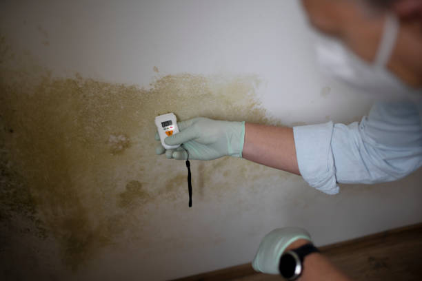 Best Mold Testing  in Norlina, NC
