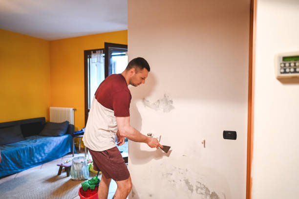 Mold Removal Process in Norlina, NC